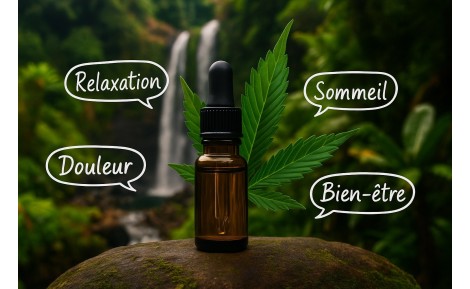 Huile de CBD à La Réunion : guide complet, bienfaits & conseils
